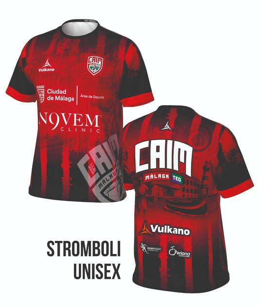 Camiseta entrenamiento sublimada 2026 (hombre)
