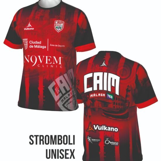 Camiseta entrenamiento sublimada 2026 (hombre)